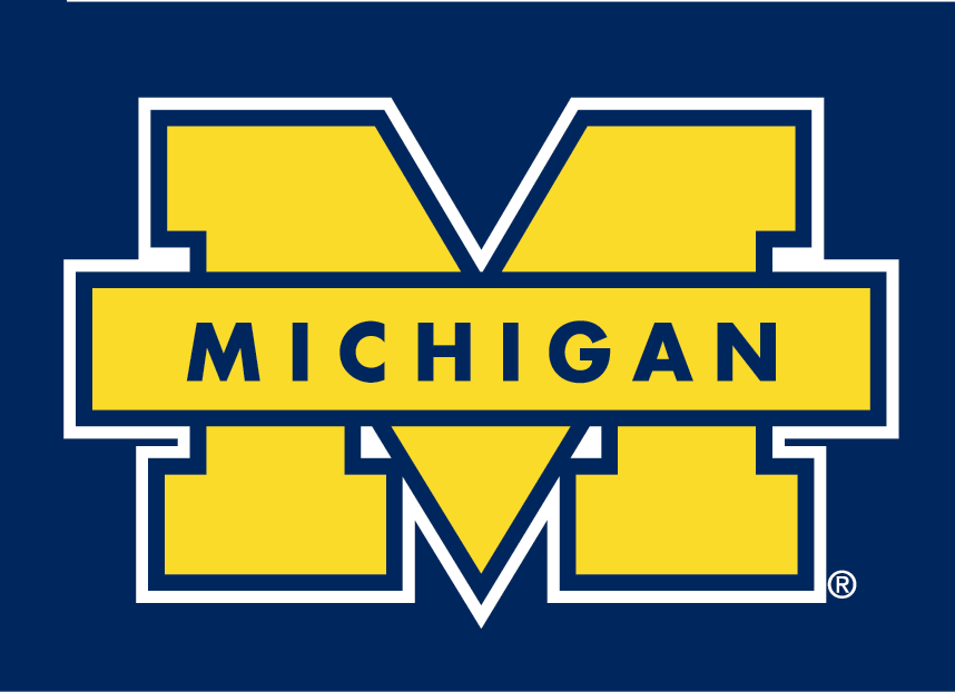 Michigan Wolverines 1996-Pres Secondary Logo v2 iron on transfers for T-shirts
